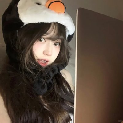 小象守护者